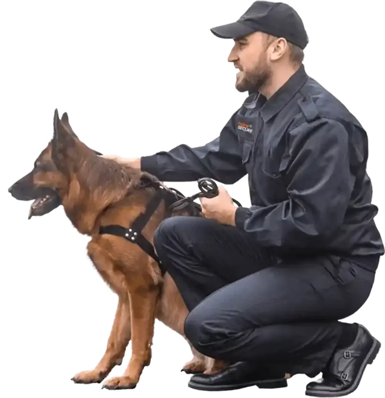 K9 Security Services